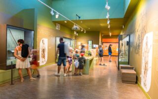 Aven d'Orgnac Grand Site de France, visit the cave and the Cité de la Préhistoire (Prehistoric City)