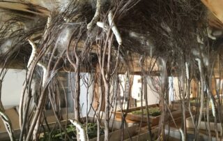 Self-guided tour Ver à Soie / Musée de la Magnanerie