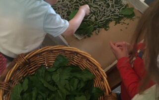 Self-guided tour Ver à Soie / Musée de la Magnanerie