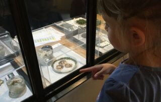 Self-guided tour Ver à Soie / Musée de la Magnanerie