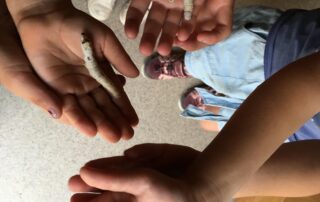 Self-guided tour Ver à Soie / Musée de la Magnanerie