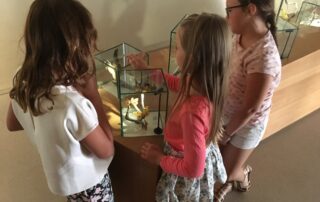 Self-guided tour Ver à Soie / Musée de la Magnanerie