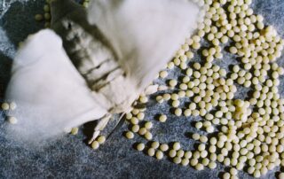 Self-guided tour Ver à Soie / Musée de la Magnanerie