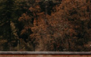 Journée Peuplier Blanc au Spa Séquoia Redwood