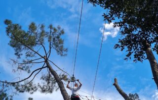 Parcours accrobranche - Accroche Toi aux Branches