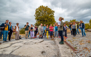 Visite guidée “Pierres et vins”