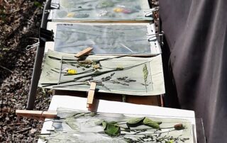 Atelier “La vie en bleue”