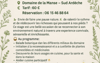 Journée Cueillette & Cuisine des Plantes Sauvages à Villeneuve-de-Berg
