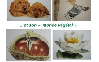 Exposition: Francine DOMART-BROAGE Exposition: Francine DOMART-BROAGE