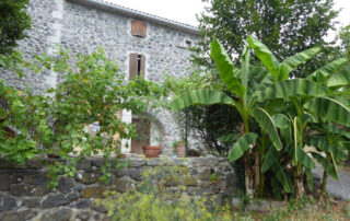 Jardins de Physalis -Cardere_Darbres