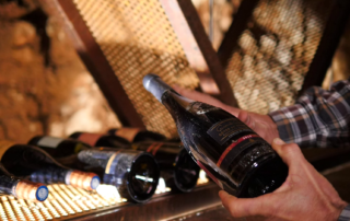 Néovinum à l'Aven d'Orgnac