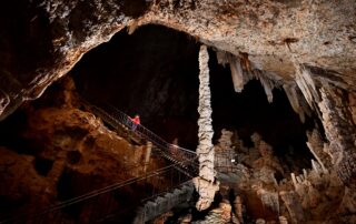 Spécial 90 ans de la découverte de la Grotte - La visite à l'envers !
