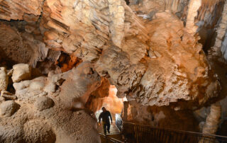 Spécial 90 ans de la découverte de la Grotte - La visite à l'envers !