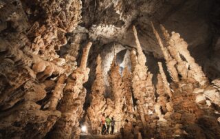 Special 90th anniversary of the discovery of the Grotto: The Slow Visit_Orgnac-l'Aven