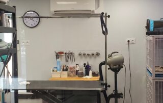 Toilettage César & Tina_Villeneuve-de-Berg