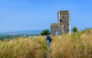 Tour et ruines du château de La Roche_Mirabel