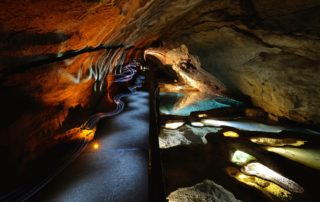 Grotte de la Cocalière Grotte de la Cocalière