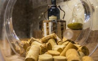 Aventure vigneronne au Mas d’Intras : Jeu, nature et dégustation