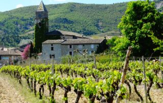Vignobles en Scène : Visite et Dégustation - La Cave de Valvignères