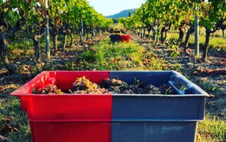 Vignobles en Scène : Musique et Vignes - Concert Lady Soul Project