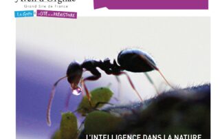 atelier sous-bois aven d'orgnac