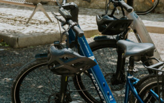 Vignobles en scènes | Vélo à assistance électrique dans les vignes