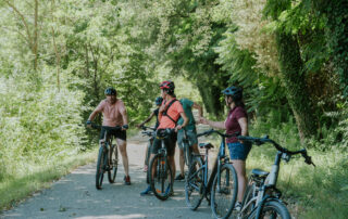 Vignobles en scènes | Vélo à assistance électrique dans les vignes