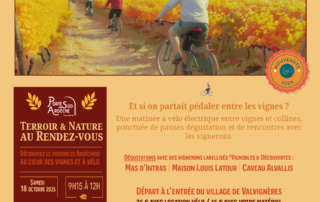 Vignobles en scènes | Vélo à assistance électrique dans les vignes