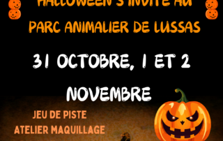 Halloween special at the park_Lussas