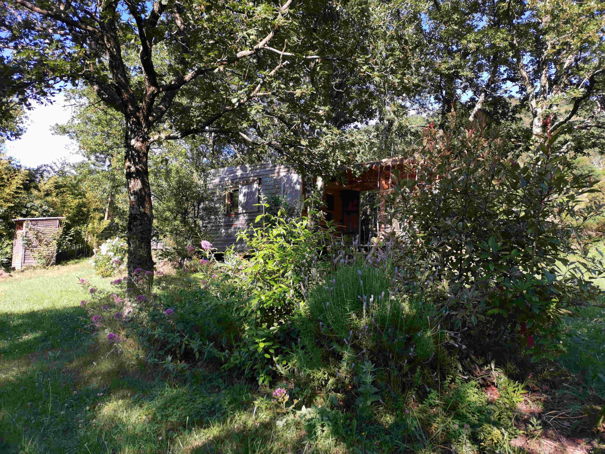 vue vers le chalet bois