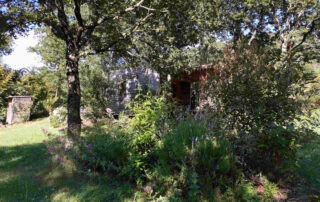 plantes et exterieurs vers le chalet 2 personnes chalets darbres_3_.jpg