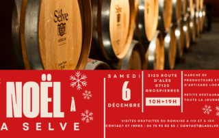 Marché de Noël à la Selve_Grospierres