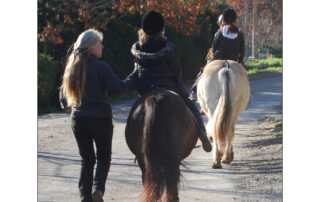 Pony or horse rides with Crinières aux vents