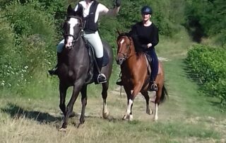 Pony or horse rides with Crinières aux vents