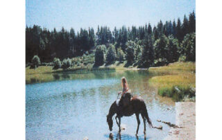 Pony or horse rides with Crinières aux vents
