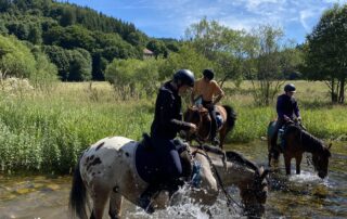 Pony or horse rides with Crinières aux vents