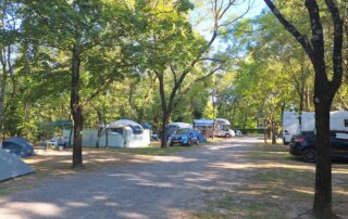 Camping les Rives d'Auzon