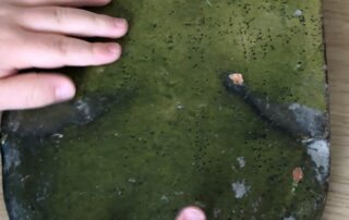 Visite pour les familles : “Les petits explorateurs : Découverte sensorielle du Château”