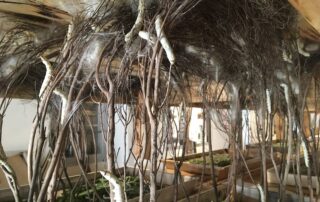 Self-guided tour Ver à Soie / Musée de la Magnanerie