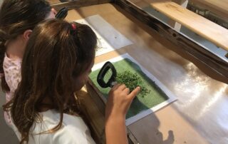 Self-guided tour Ver à Soie / Musée de la Magnanerie