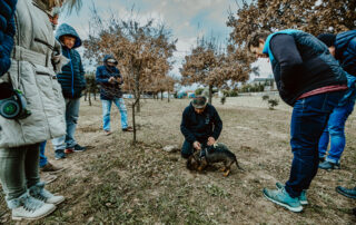 Truffle flavors and Ardèche wines with Néovinum_Lagorce