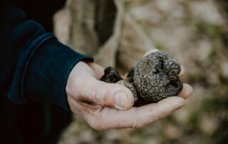 Truffle flavors and Ardèche wines with Néovinum_Lagorce