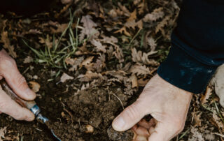 Truffle flavors and Ardèche wines with Néovinum_Lagorce