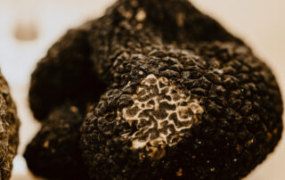 Truffle flavors and Ardèche wines with Néovinum_Lagorce