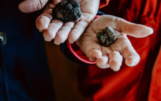 Truffle flavors and Ardèche wines with Néovinum_Lagorce
