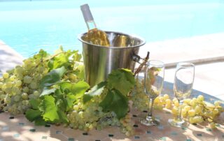 Vallon des Etoiles- Dégustation de vin- Ardèche