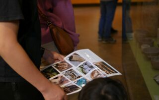 le 1er février ouvrez l’oeil, le Grand Site de France de l’Aven d’Orgnac rouvre en mode jeu !