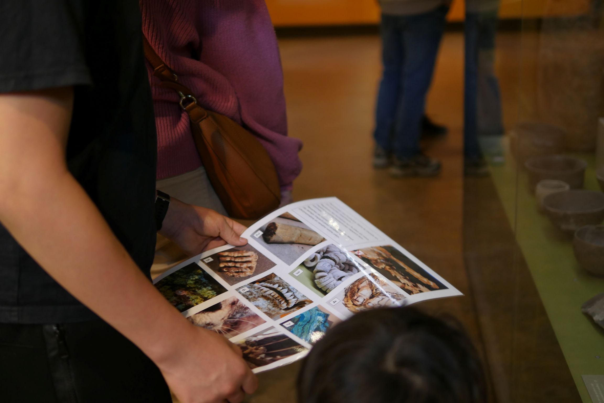 Visite "œil de Bonelli" le 1er février