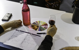 Néovinum: Caveau / Boutique des Vignerons Ardéchois