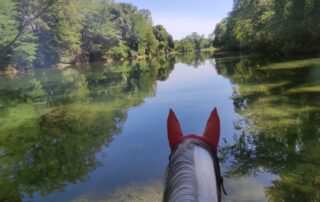Traversée à cheval de rivières
